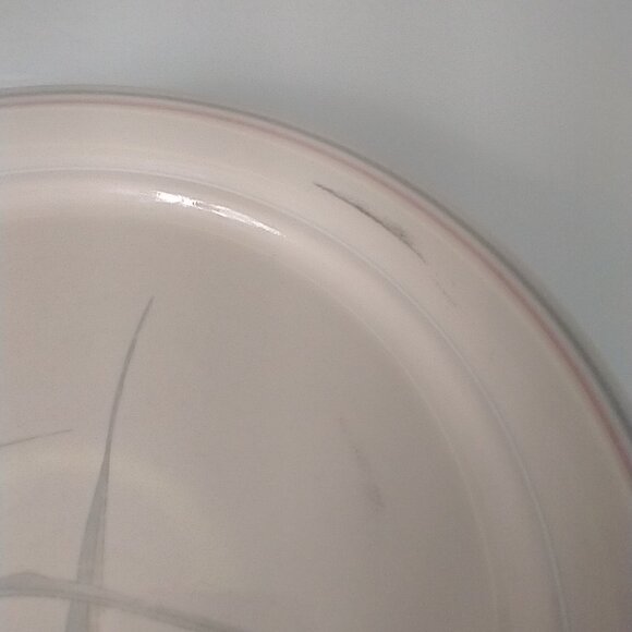 Vintage (5) Dinner & (6) Salad Plates by Corelle Corning Spring Pond Dinnerware - Picture 8 of 11